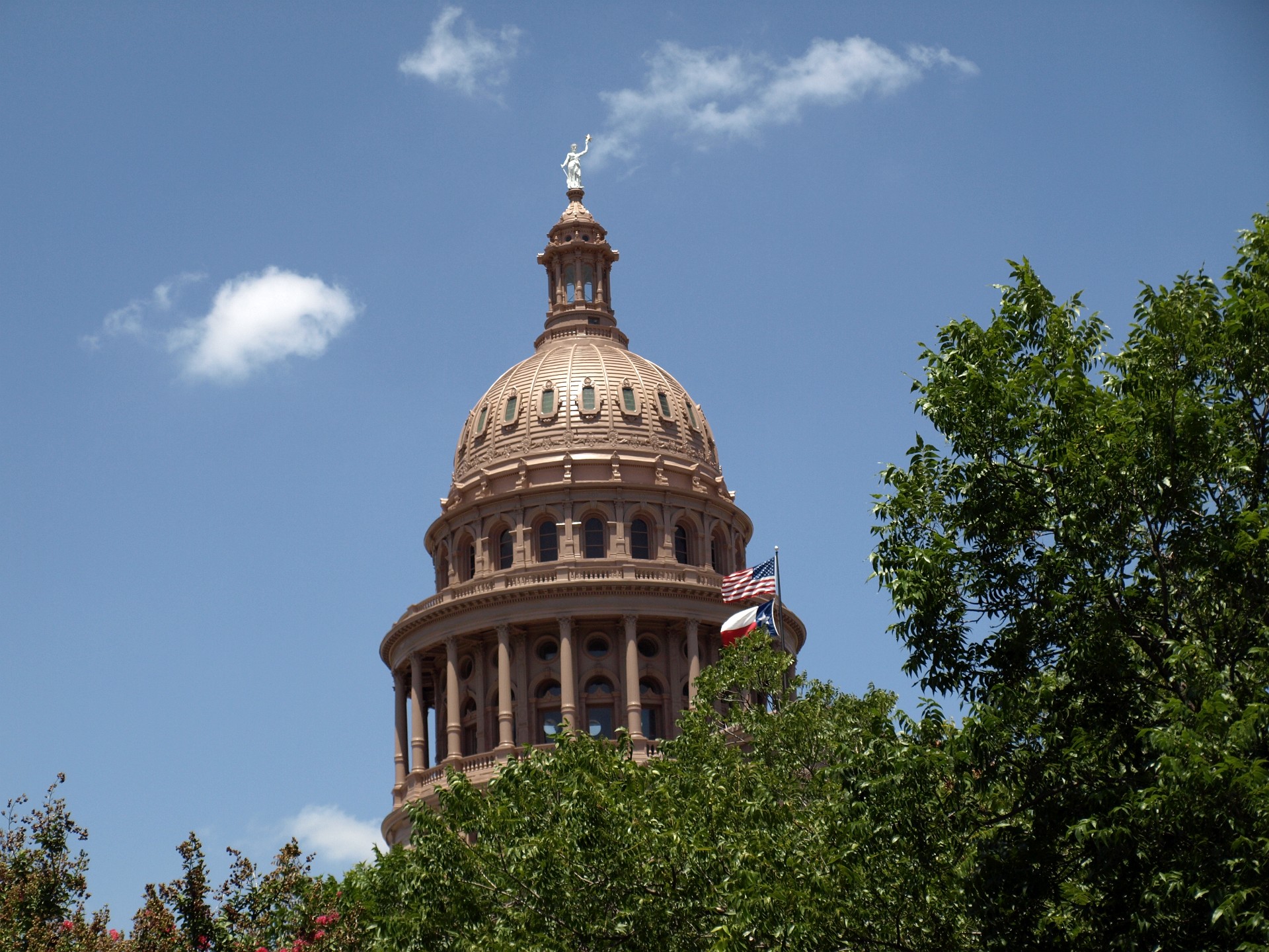 Dome Above the Trees